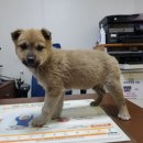 염색공단천로 이미지