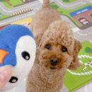 해운대유치원 이미지