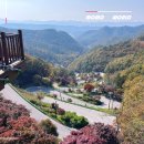 말티재관문 주차장 공중화장실 | 보은 말티재 전망대 단풍 속리산 말티고개 주차