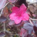 대야점 현대자동차 이미지