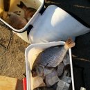 송정유료낚시터 이미지