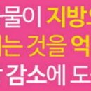 주식회사에스이바이오텍 이미지