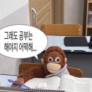 황고집 이미지