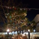 기쁨고속관광 이미지