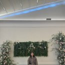 [신림/그레이스파티] 화려한 꽃타워가 있는 &#34;GRACE PARTY&#34; 하객 후기 (7층)