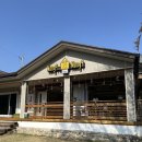 Mong9Mong9Haus | [홍천 독채펜션] 대형견도 가능한 반려견 독채펜션 ‘멍구멍구하우스’ (멍9멍9하우스)
