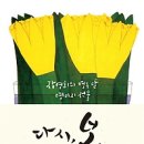 다시봄 이미지