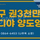 이디야커피대구 이미지