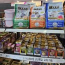 (주)그린아쿠아펫 | 2025 궁디팡팡캣페스타 35th 캣페어 펫박람회 후기 부스배치도