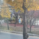 풍경좋은방 이미지