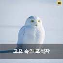 더하얀세상 네이버블로그