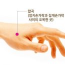 피해 방어법: 합곡혈 누르기 이미지