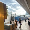 블루관광여행사㈜ | 투어, 프리미엄 4WD, 샌드보딩, 오크베일 동물원 코알라, 먹이주기 체험 (대한관광여행사 가이드 비추...)