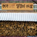 지구농장 이미지