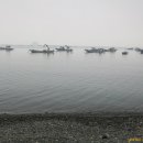 완도 예송리 상록수림 이미지