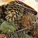 숲뒤농장 이미지