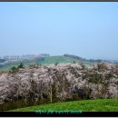 운산목장 이미지