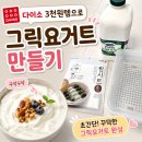 모아헤어드레싱 | 다이소 찜기, 찜시트 3,000원으로 꾸덕한 그릭요거트 만들기 (유청분리기 필요없음)
