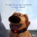 주식회사 오픈박스산북 | 성수동 문도 픽사 팝업스토어 방문 후기 | 주차 · 포토존 · 사진 꿀팁 | 무한한 공간 저 너머로 (To...