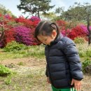 [포천] 푸른마을 펜션 후기 (feat. 따뜻한 방과 봄꽃 가득한 정원)