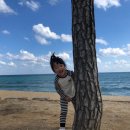모래시계공원 이미지