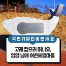 고래 잡으러 떠나요, 양양 남애 어촌체험마을