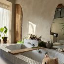 전주완산초등학교 | 전주 애견동반 숙소, 전주 애견동반 펜션: 독채숙소 전주 사르르온다(수영장, 자쿠지, 불멍, 마당이...