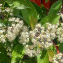 가시나무공원 이미지