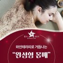 테라피+12 | 테라피 12