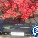 GS25 울산하트점 이미지