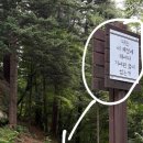 레츠 스테이 이미지