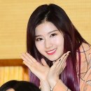 브이라인 엑스포츠뉴스