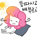 금상수상쉐프의맛좋은족발