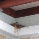 따불농장 이미지