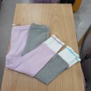 리틀밥독 쇼핑하우