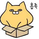 장지연네츄럴헤어