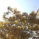 경의로(1) 이미지