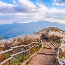 민둥산운동장 2 이미지