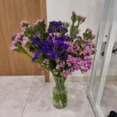 푸른봄한의원 이미지