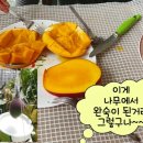 묵지농장 이미지