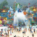 알프스비치 이미지