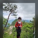 황*정