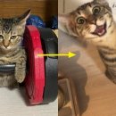 포커페이스