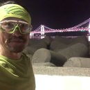 산새봄샘꿈
