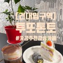 카공 추천 건대 감성 카페 투또톤토 후기 (메뉴/콘센트/와이파이)