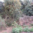 용당경로당 이미지