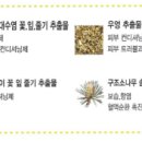 글리제미용재료 이미지