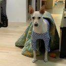 헬스보이짐 여의도역점 이미지