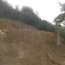 대지를 바라보며 이미지