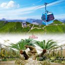 ♧대통령 별장을 품은 섬 거제도 "저도"11/8(토)~9(일)1박2일 가을 단풍과 함께 떠나는 이벤트여행 (열차, 차량투어) 이미지